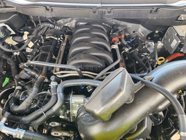 2026 Ford F-150 XLT dark trail