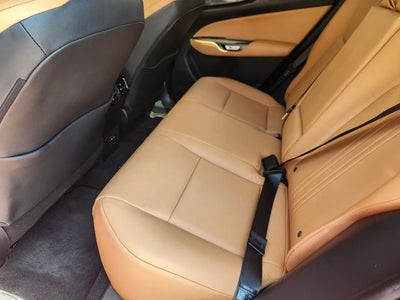2025 Lexus NX 250 Premium