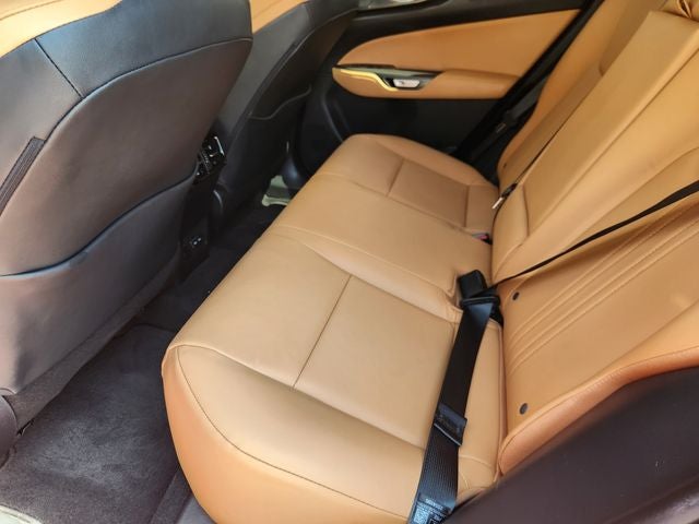 2025 Lexus NX 250 Premium