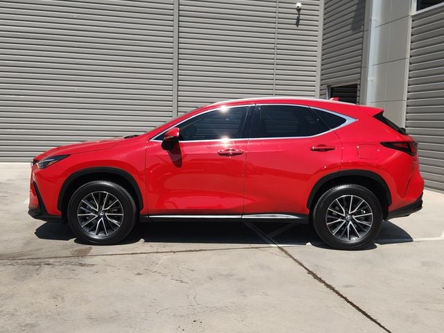 2025 Lexus NX 250 Premium