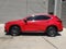 2025 Lexus NX 250 Premium