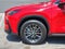 2025 Lexus NX 250 Premium