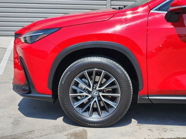 2025 Lexus NX 250 Premium
