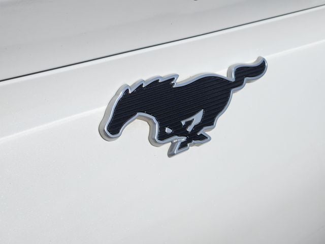 2022 Ford Mustang Mach-E Premium